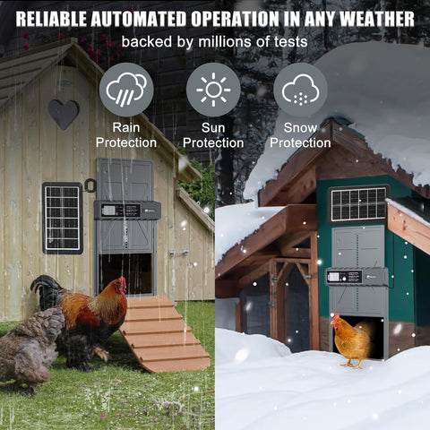 IBKINXX instalación en gallinero mostrando integración y fácil montaje