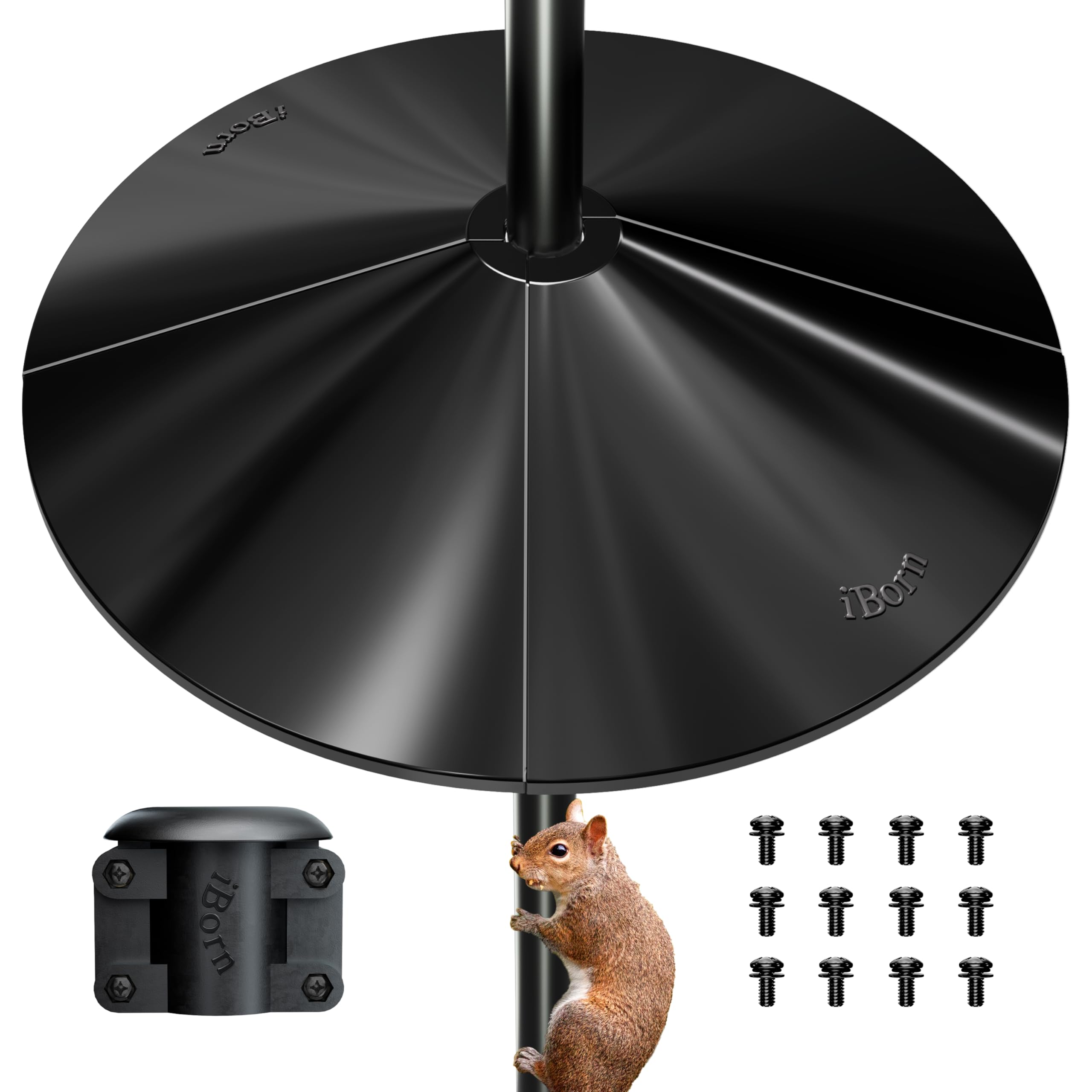 iBorn protector frontal mostrando cobertura amplia y defensa eficaz