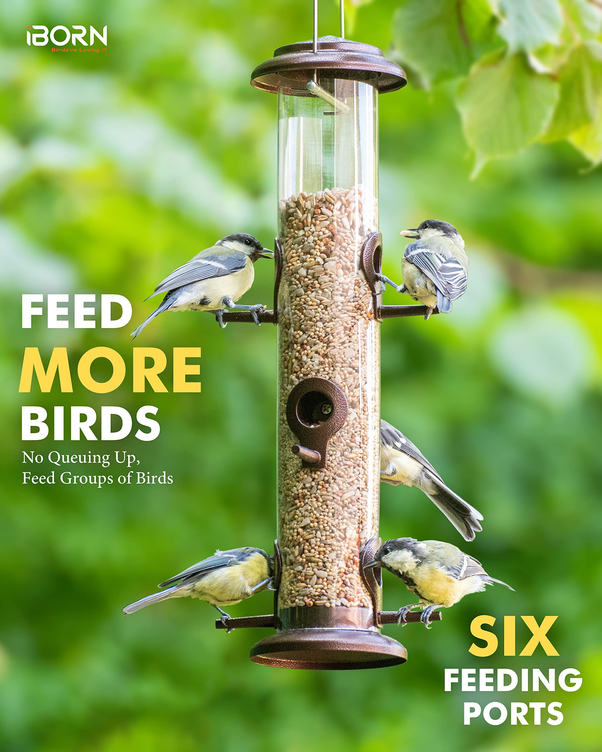 iBorn close-up de puertos y perchas que facilitan alimentación simultánea de aves