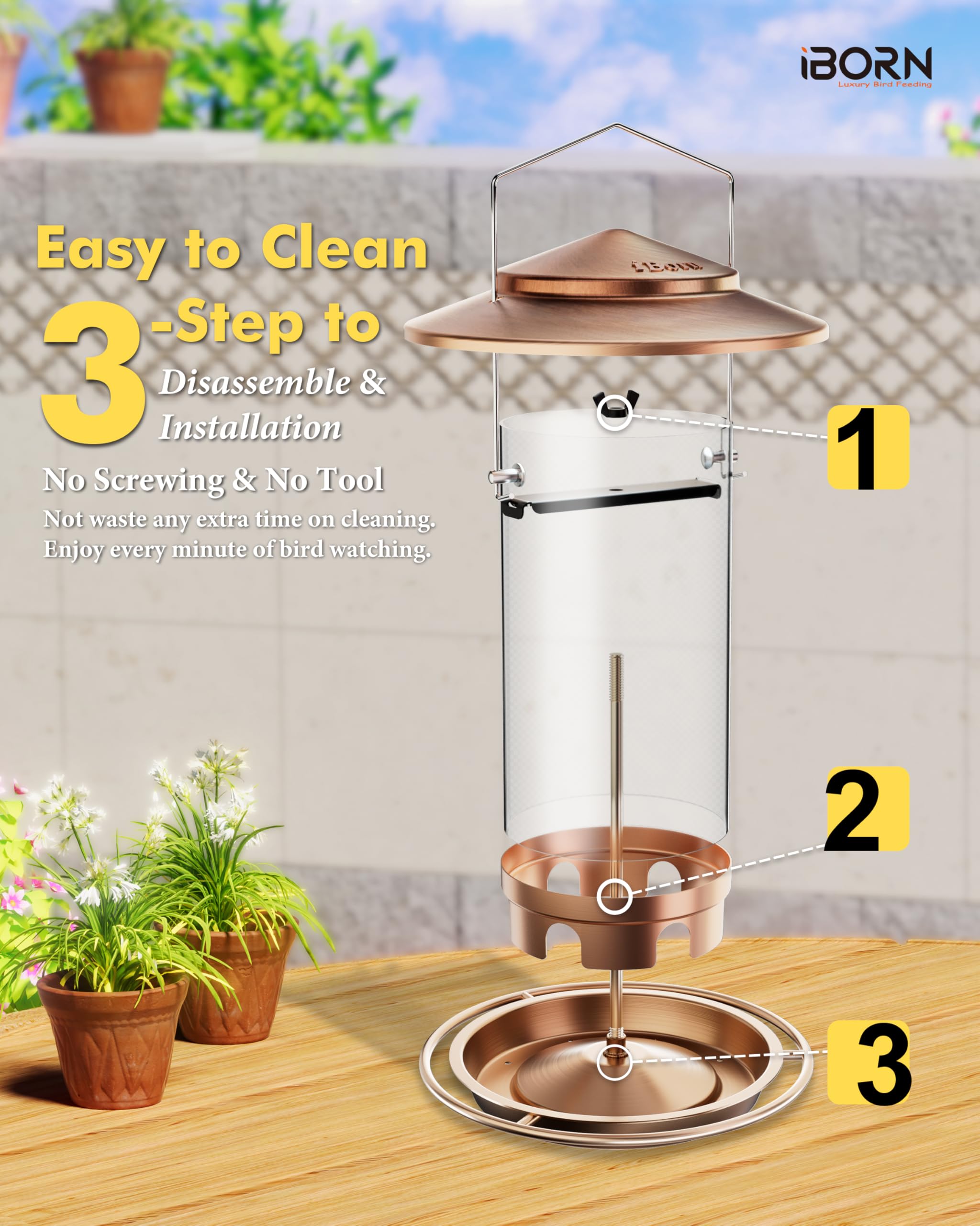 iBorn junto a una mano para comparar tamaño y capacidad 2.2 lb