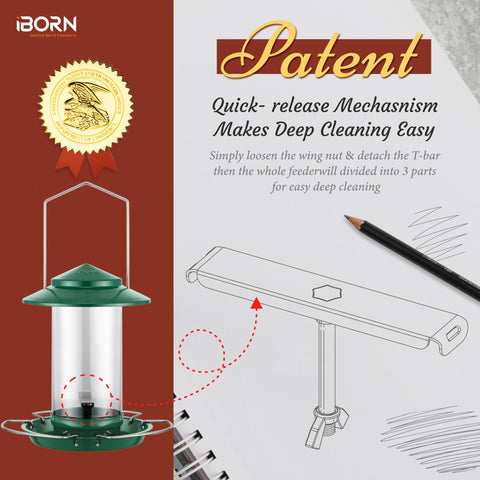 iBorn comparación de escala 1.32 lb mostrando tamaño práctico