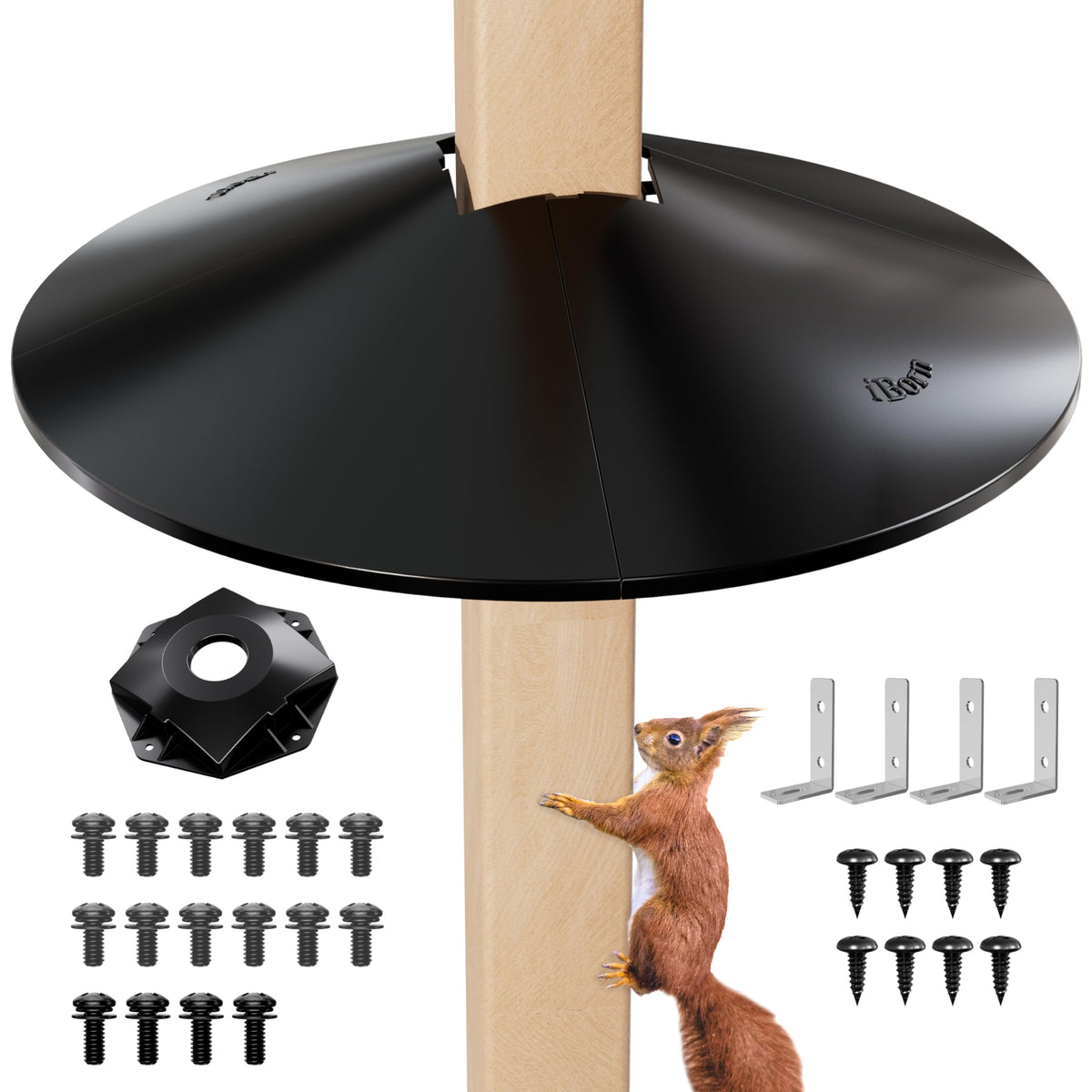 iborn protector frontal mostrando cobertura amplia y seguridad