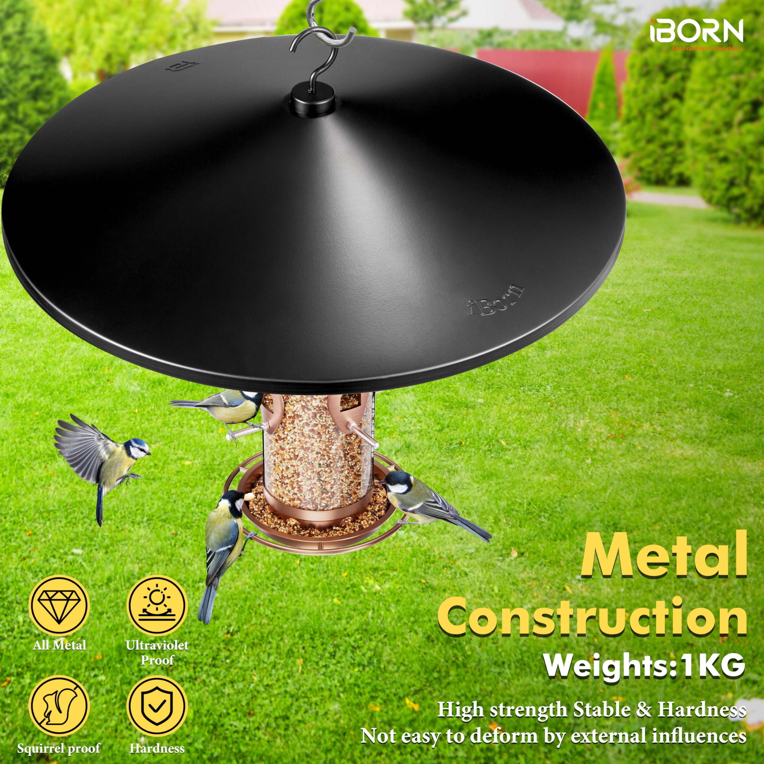 iBorn instalado sobre poste protegiendo comedero de aves