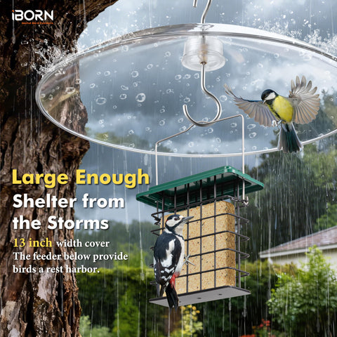 iBorn protector en uso mantiene semillas secas y visibles