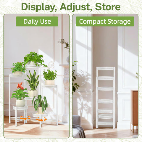 iDavosic.ly estantería con colección de plantas, presentación decorativa