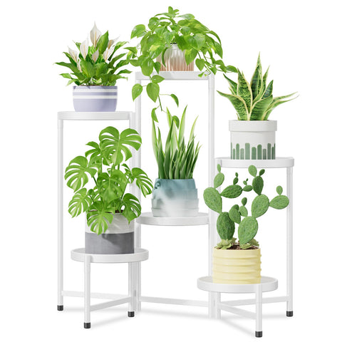 iDavosic.ly soporte frontal blanco mostrando seis niveles y estética ordenada