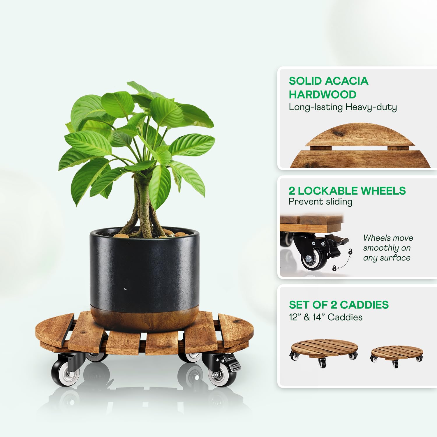 IDZO primer plano textura de madera acacia que resalta durabilidad