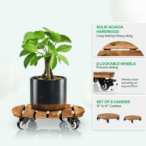 IDZO primer plano textura de madera acacia que resalta durabilidad