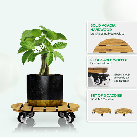 IDZO detalle de veta de acacia resaltando durabilidad y estética