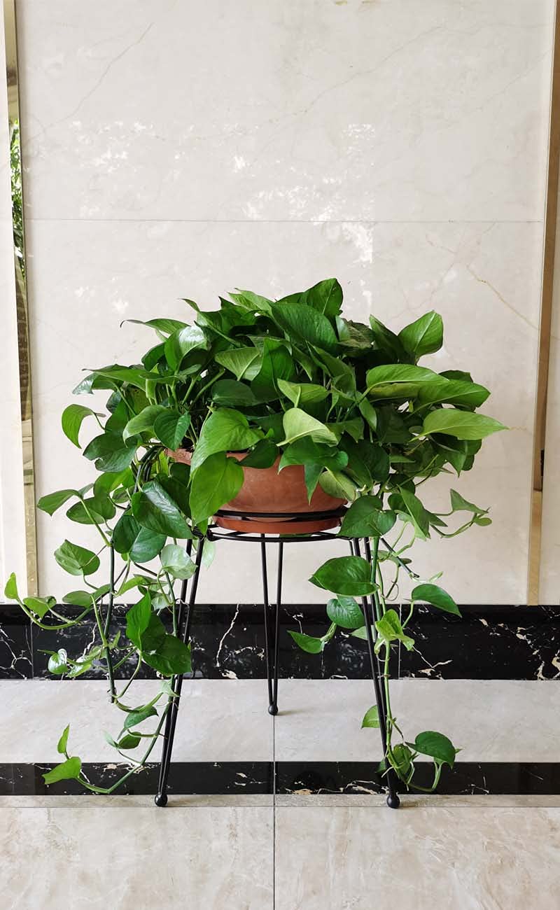 iLTreFlo en ambiente midcentury decor integrado que enfatiza el diseño