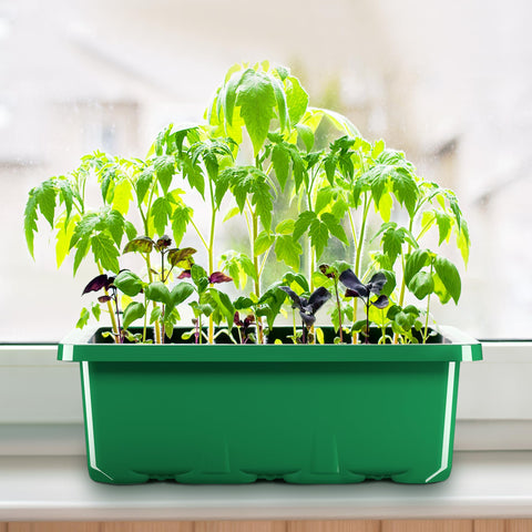 MIXC Bandejas germinación 10 unidades 120 celdas con domos de humedad y bases estancas