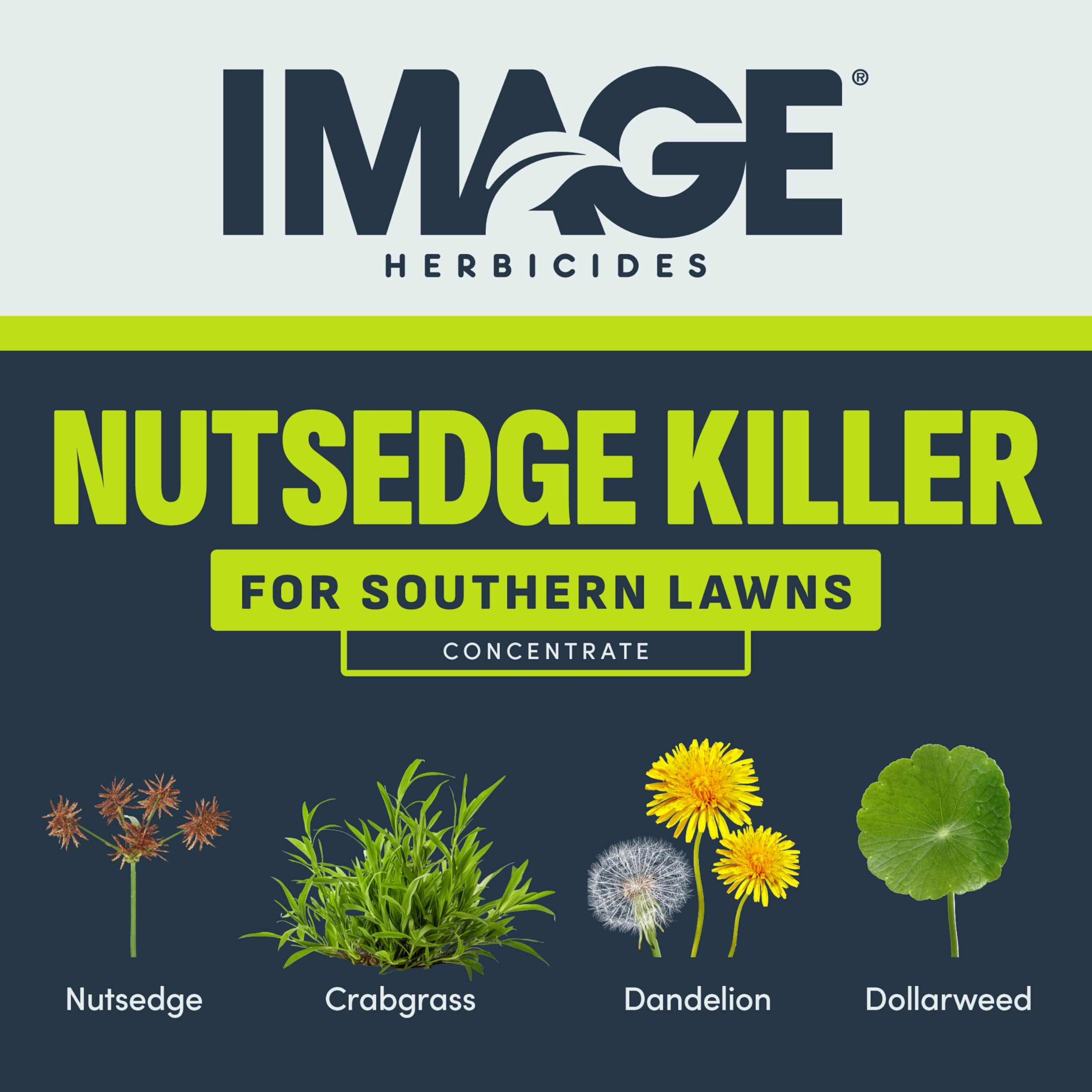 Image Herbicides etiqueta con instrucciones claras para uso seguro