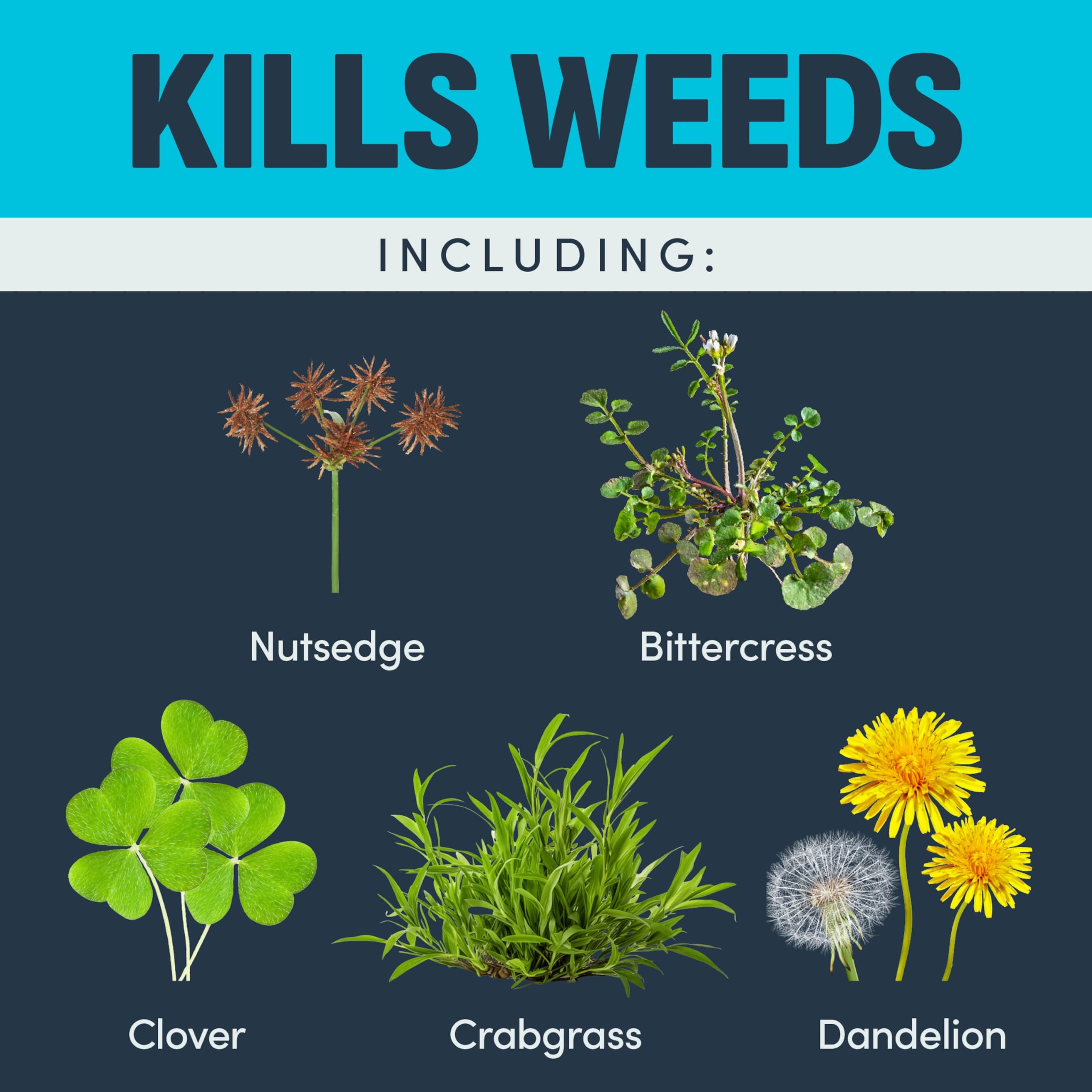 Image Herbicides etiqueta con instrucciones claras y lista de malezas controladas