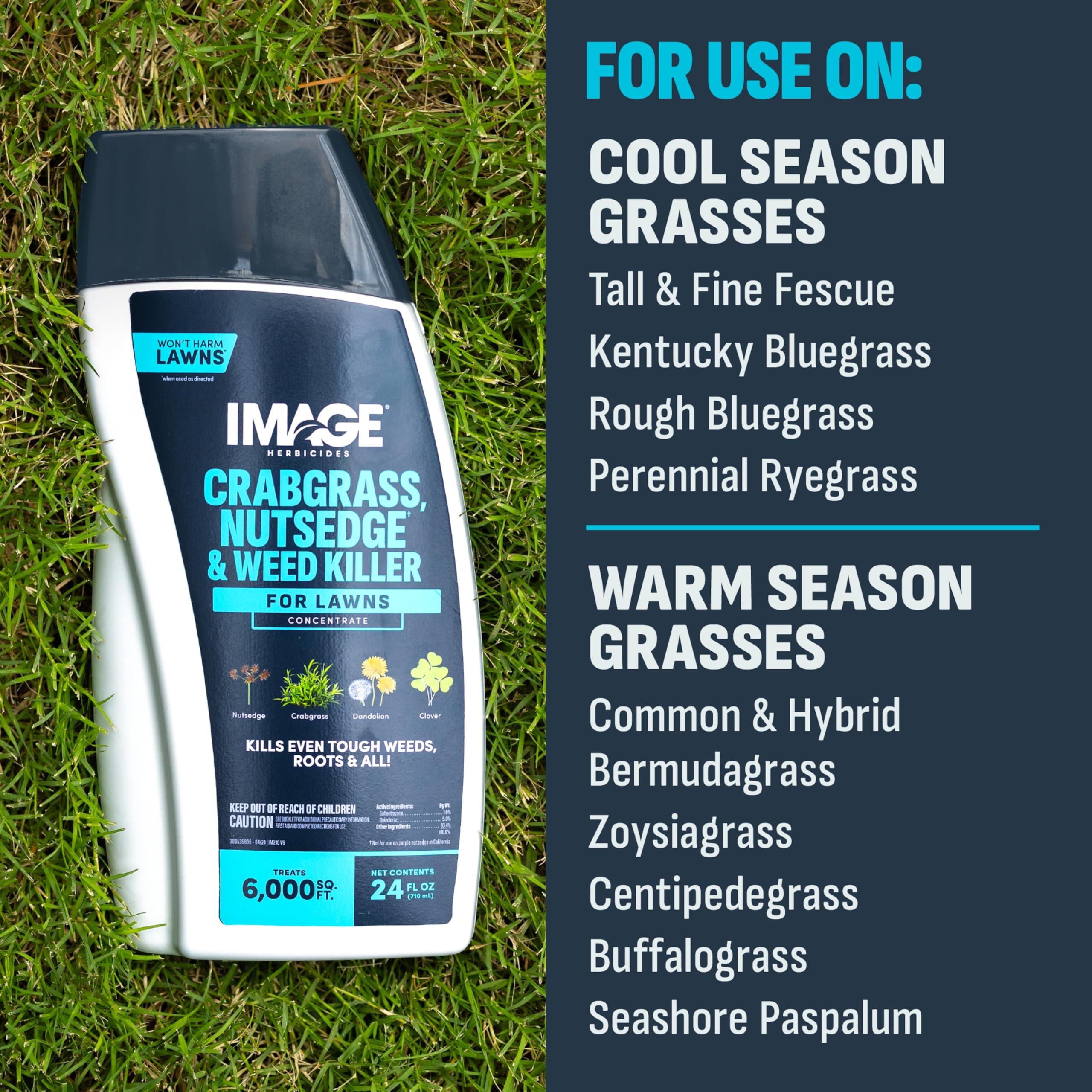 Image Herbicides primer plano de nutsedge marchita tras tratamiento eficaz