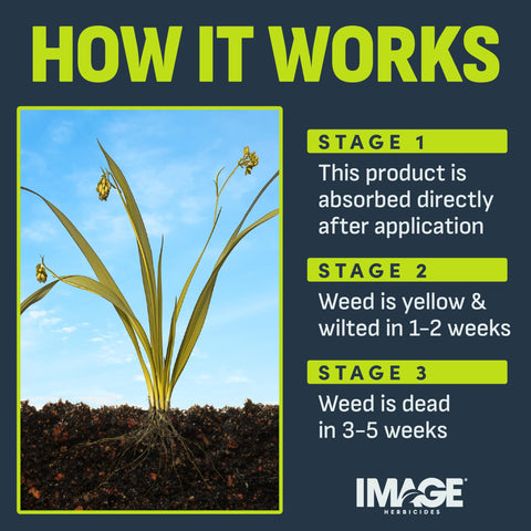 Image Herbicides aplicado cerca de ornamentales para protección selectiva