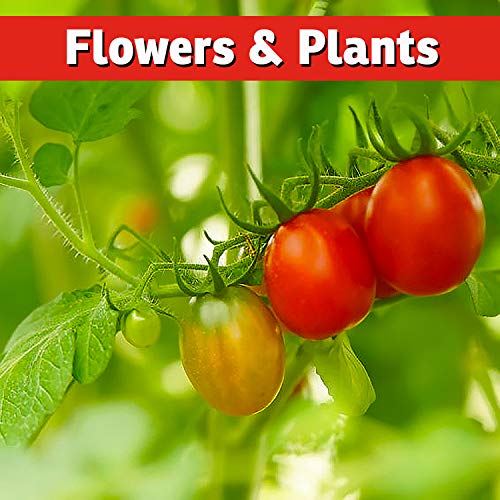 IMUSTGARDEN jardín con plantas protegidas mostrando diferencia antes y después