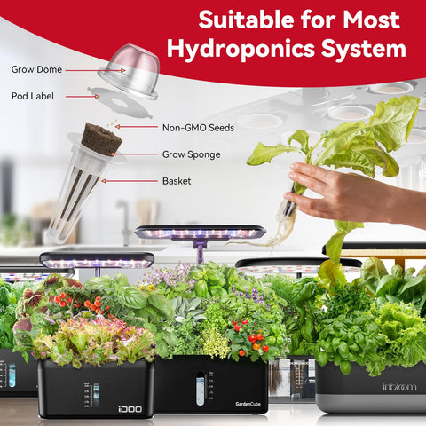 inbloom canastillas y esponjas listas para insertar y germinar