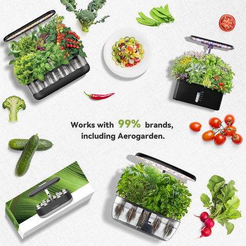 inbloom pimientos y tomates cultivados en interior listos para cosechar