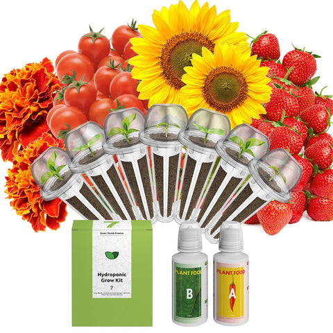 inbloom empaque frontal mostrando 7 pods útil para identificación rápida