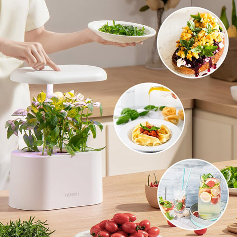 inbloom fertilizante A&B y etiquetas para nutrir y organizar cultivos