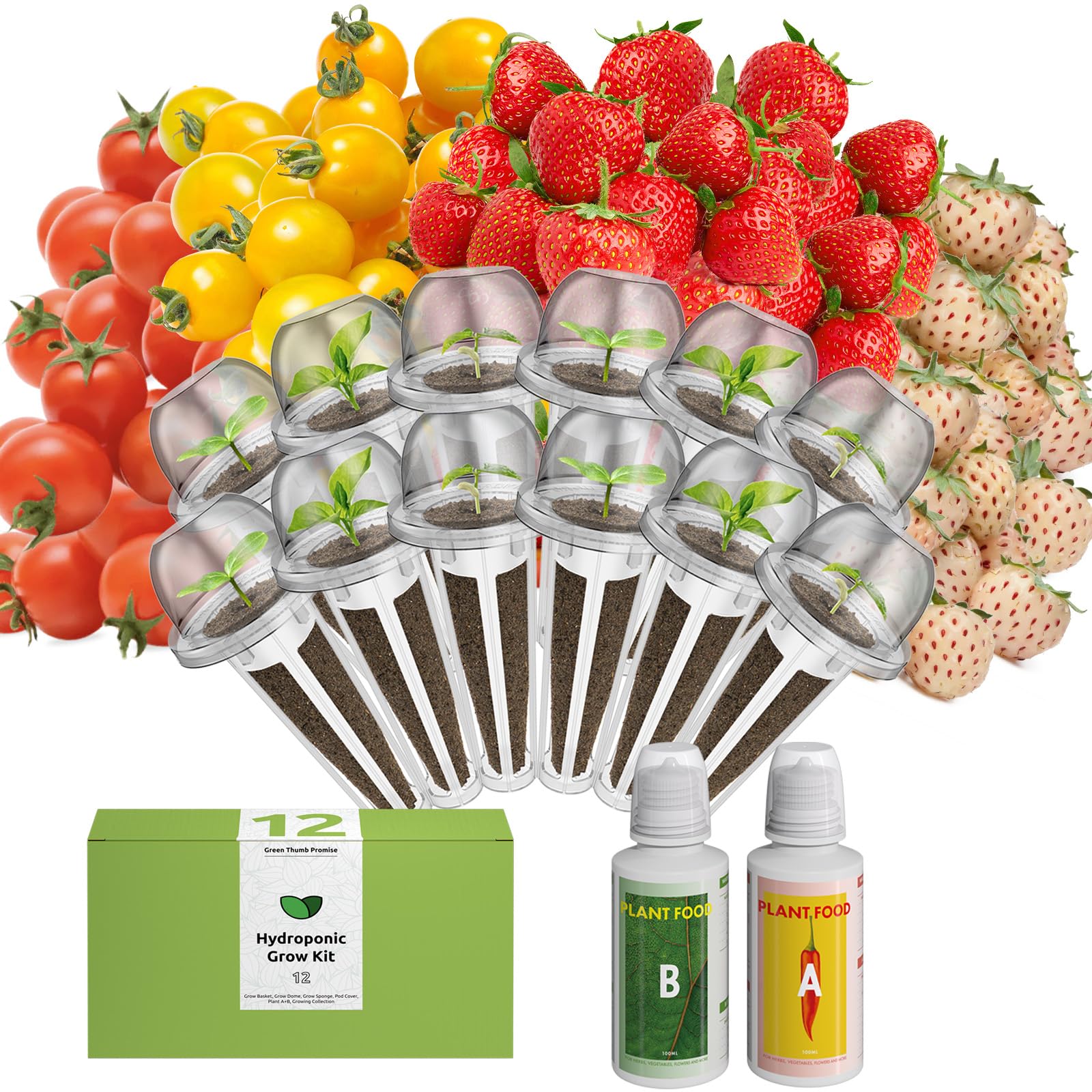 inbloom frente del paquete mostrando contenido y beneficios
