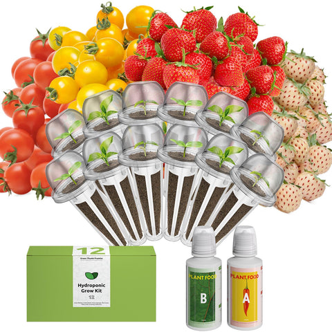 inbloom frente del paquete mostrando contenido y beneficios