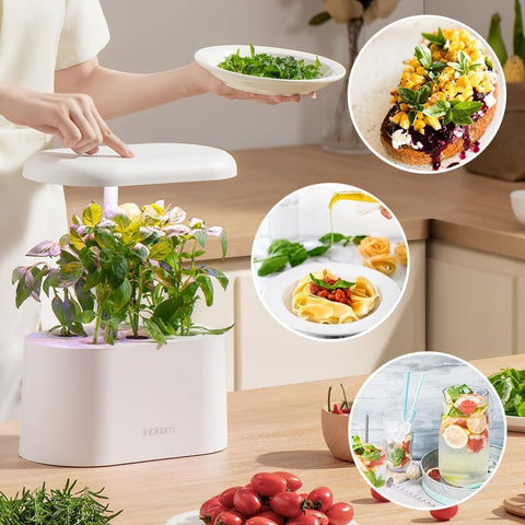 inbloom hojas cosechadas mostrando hierbas frescas y uso culinario