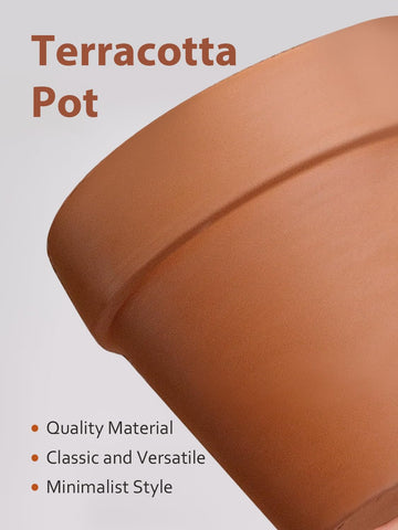 INGOFIN maceta con planta en interior mostrando integración decorativa y salud de la planta