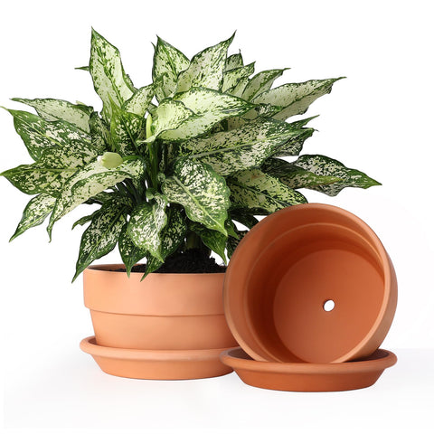 INGOFIN maceta frontal terracota, diseño estético y ventilación natural