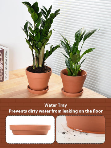 INGOFIN macetas con suculentas ideal para decoración interior
