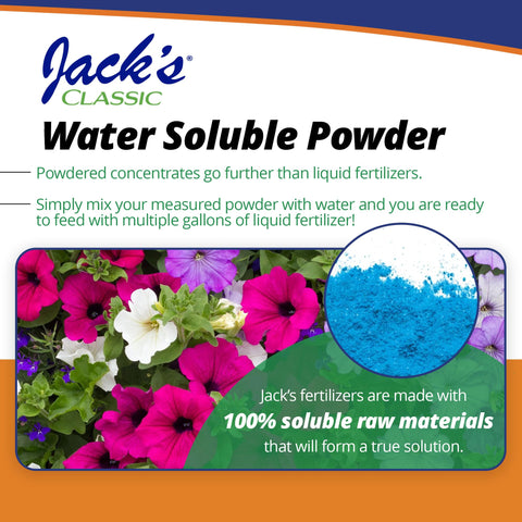 Jack's Classic envase junto a una regla para comparar tamaño útil