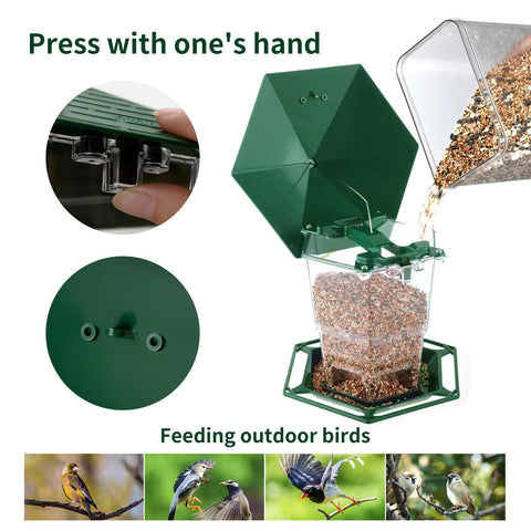 Jealoeur bandeja con semillas mostrando flujo y acceso para aves