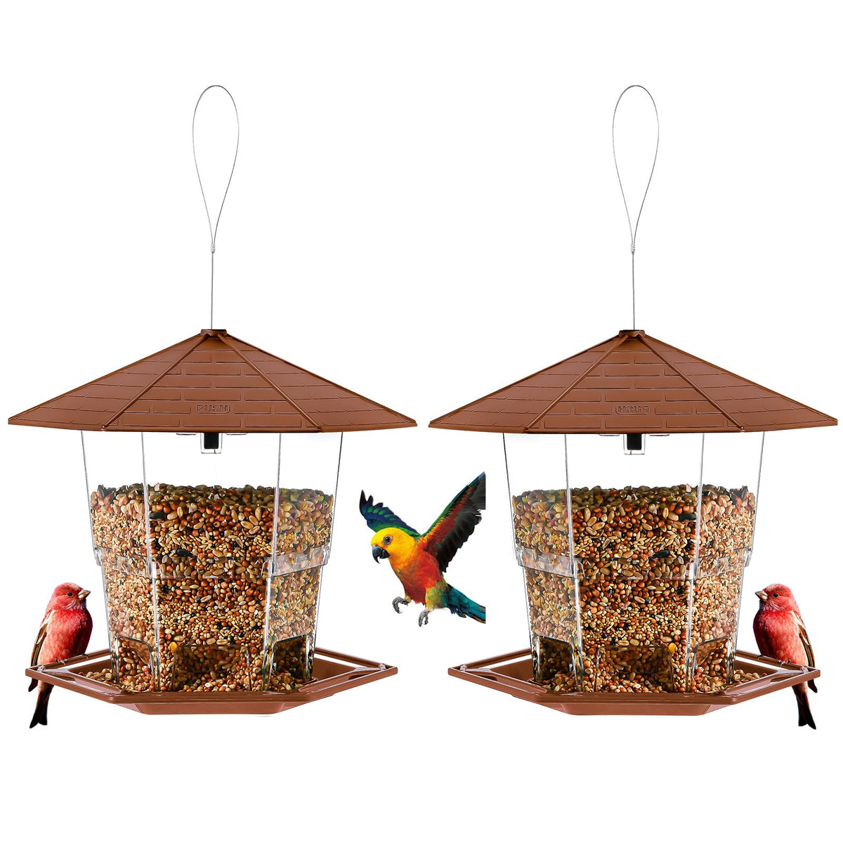 Jealoeur comedero colgante frontal, diseño listo para atraer aves