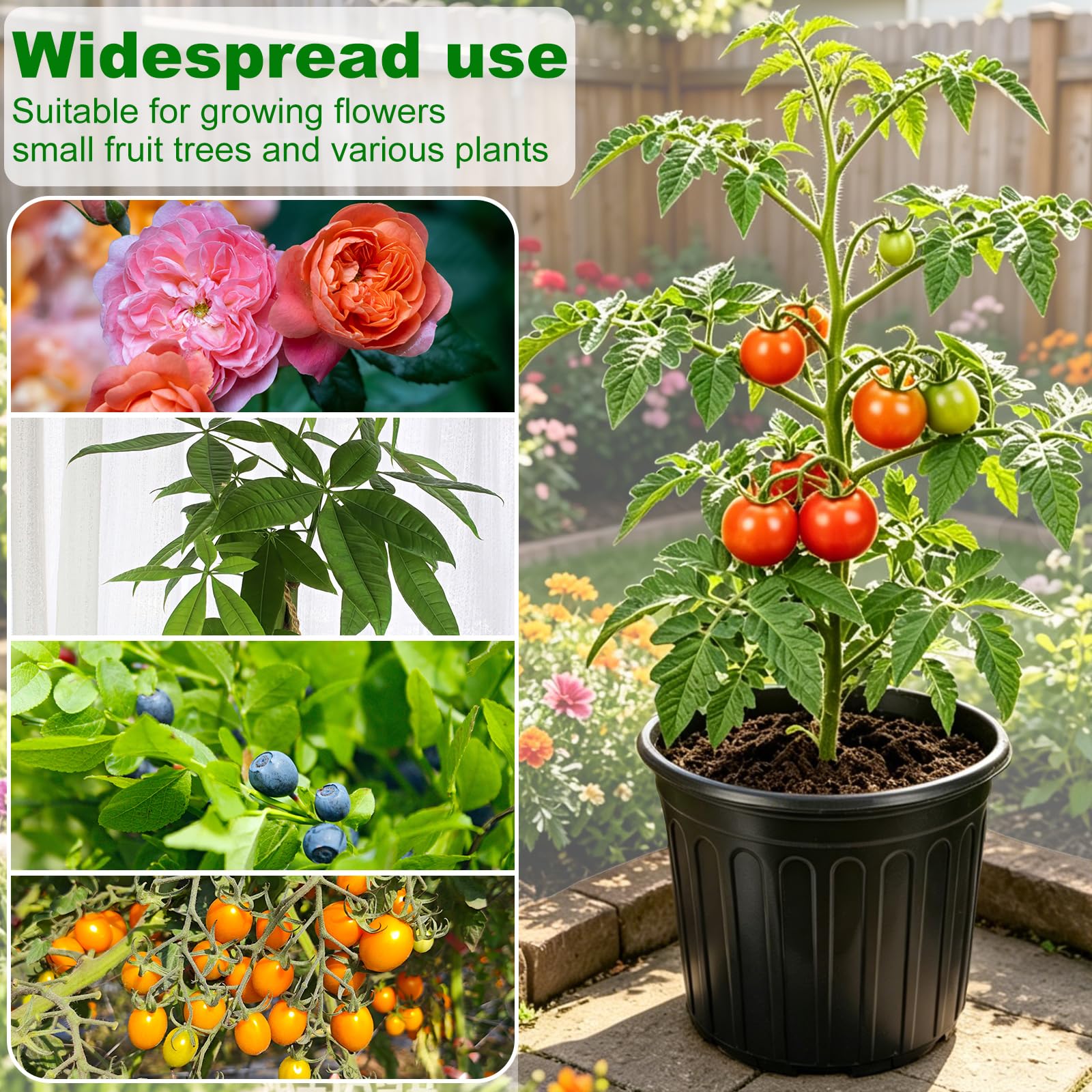 JERIA maceta con suculentas, ideal para plantas pequeñas
