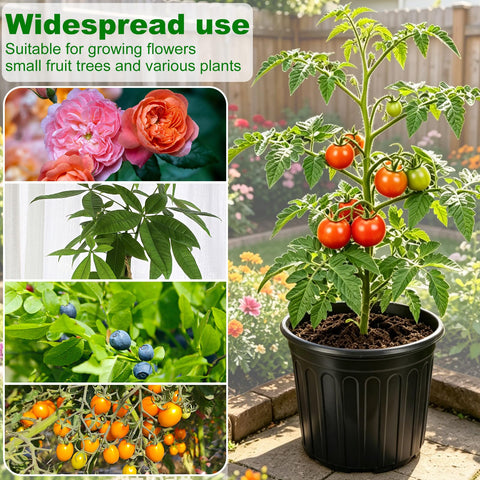 JERIA maceta con suculentas, ideal para plantas pequeñas