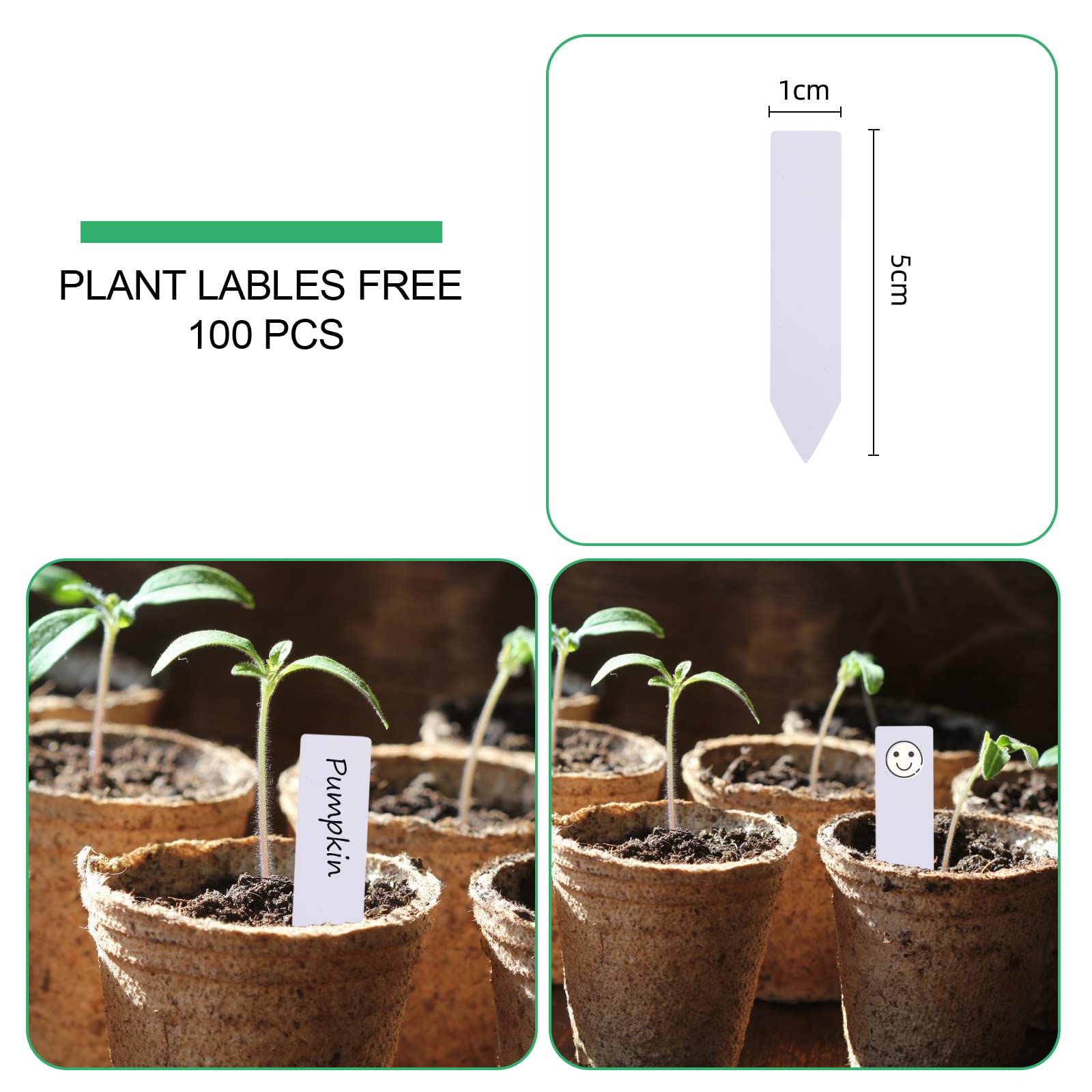JERIA maceta con plántula en bandeja ideal para germinación rápida y ordenada