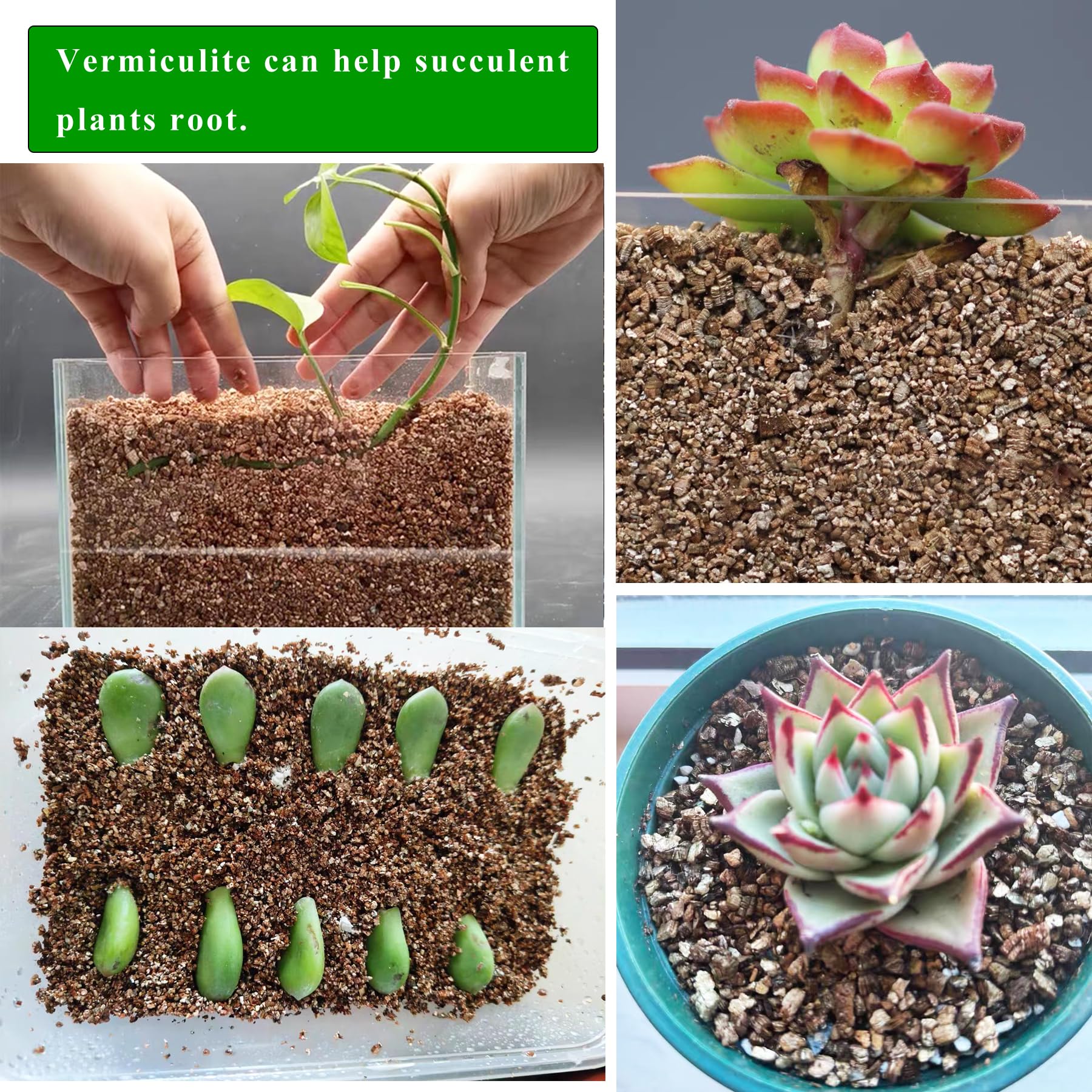 JFWOD vermiculita en maceta urbana que mejora crecimiento y mantiene humedad