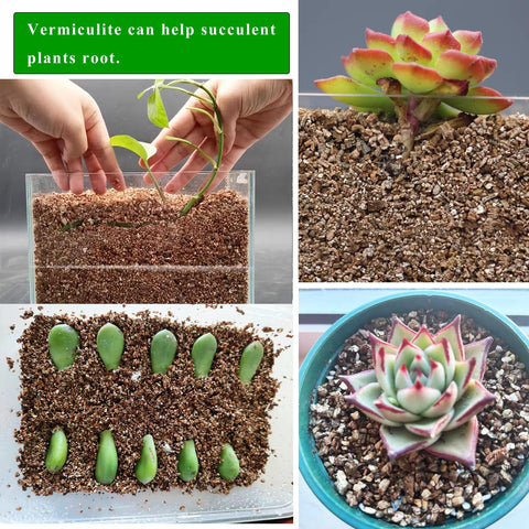 JFWOD vermiculita en maceta urbana que mejora crecimiento y mantiene humedad