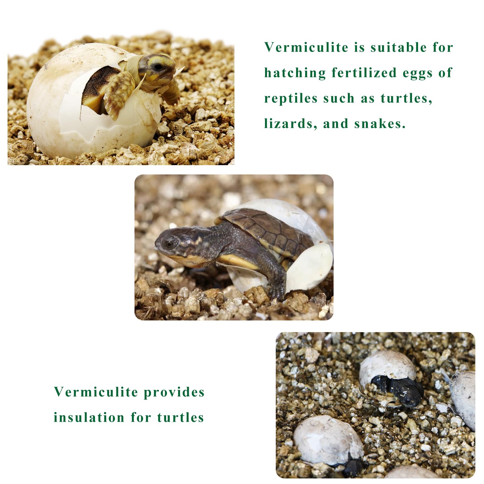 JFWOD semillero con vermiculita favoreciendo germinación y enraizamiento rápido