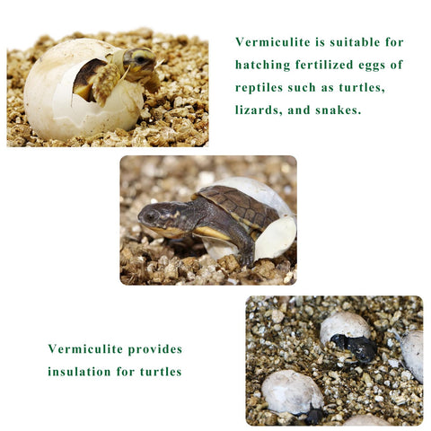 JFWOD semillero con vermiculita favoreciendo germinación y enraizamiento rápido