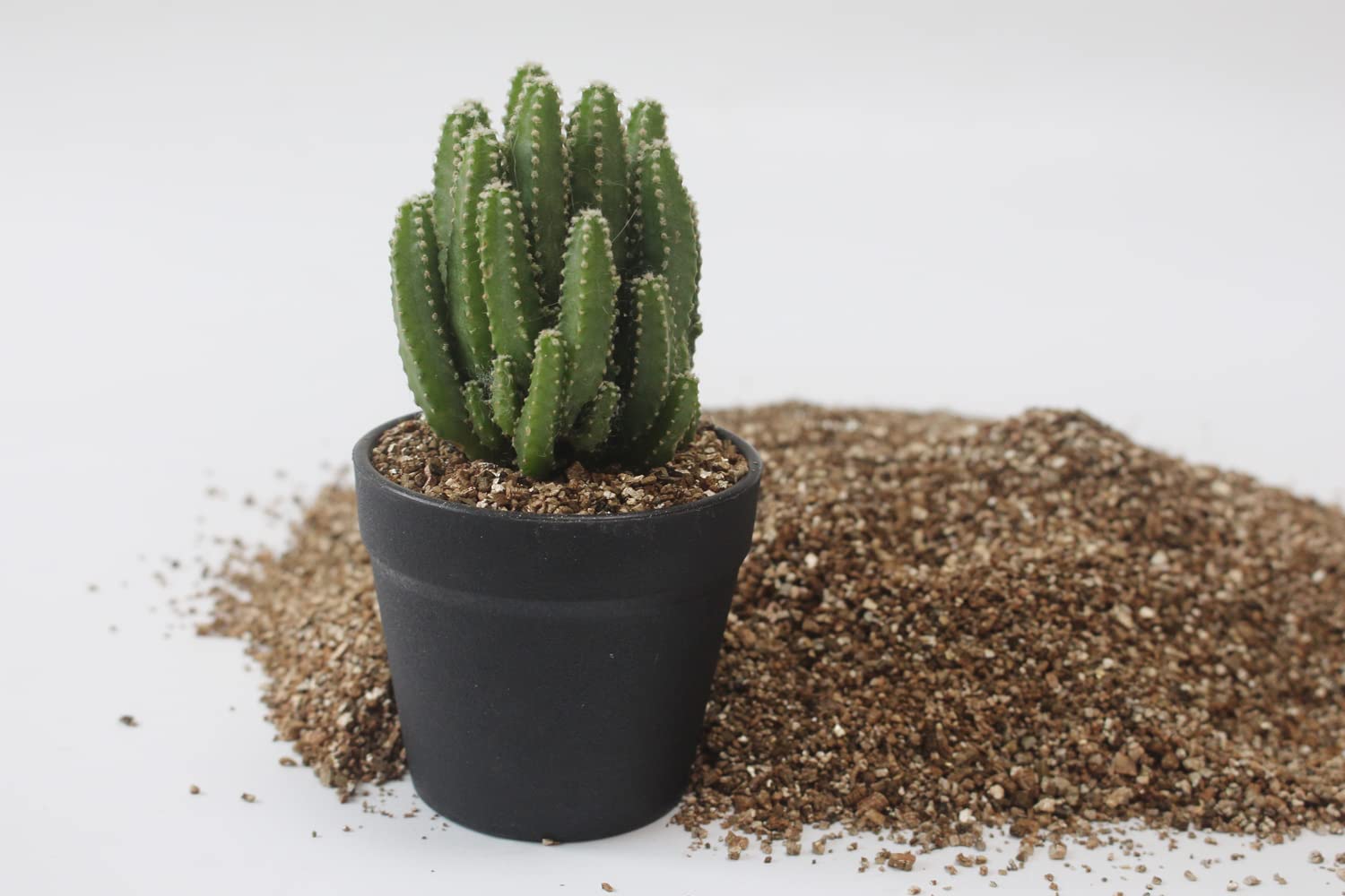JFWOD vermiculita dentro de terrario beneficiando plantas de interior