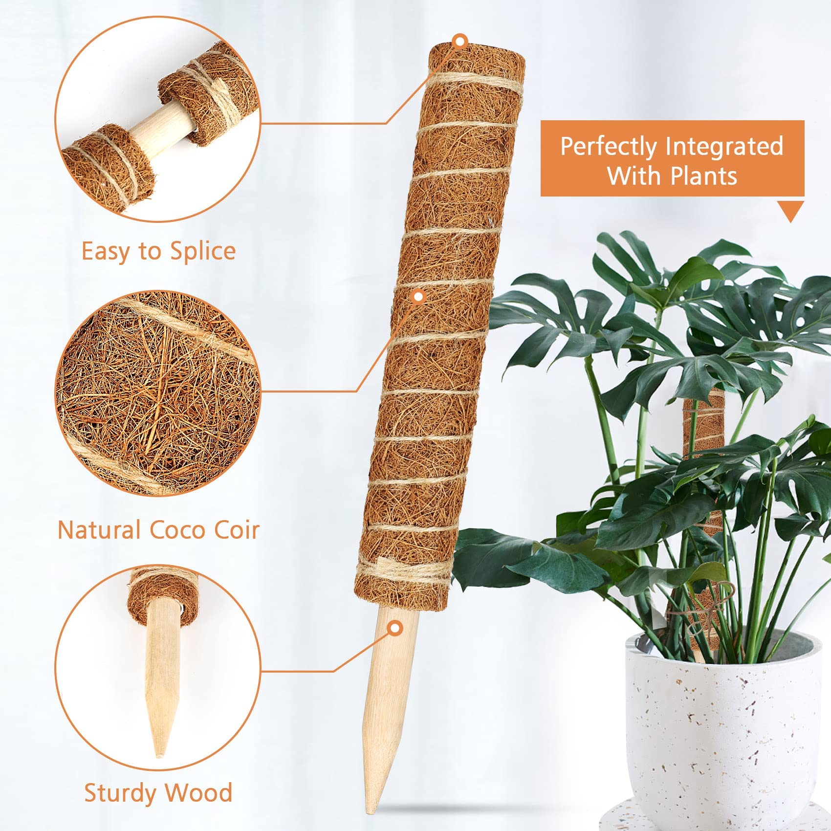 JJGoo primer plano de la fibra de coco que retiene humedad beneficiosa