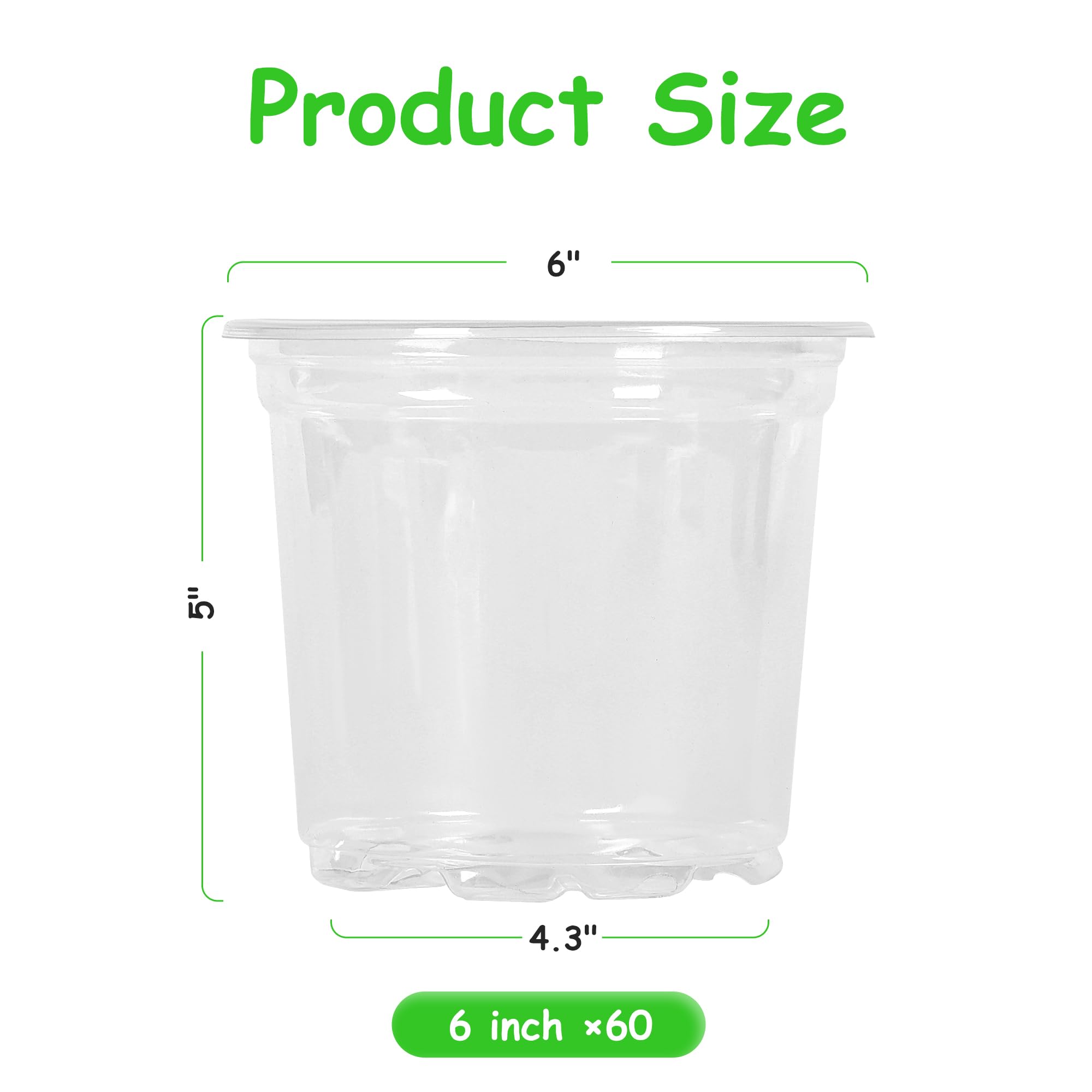 JNYONG primer plano de pared transparente mostrando raíces, inspección fácil