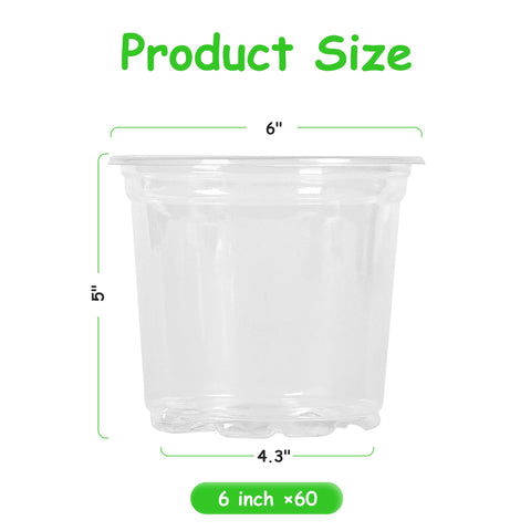 JNYONG primer plano de pared transparente mostrando raíces, inspección fácil