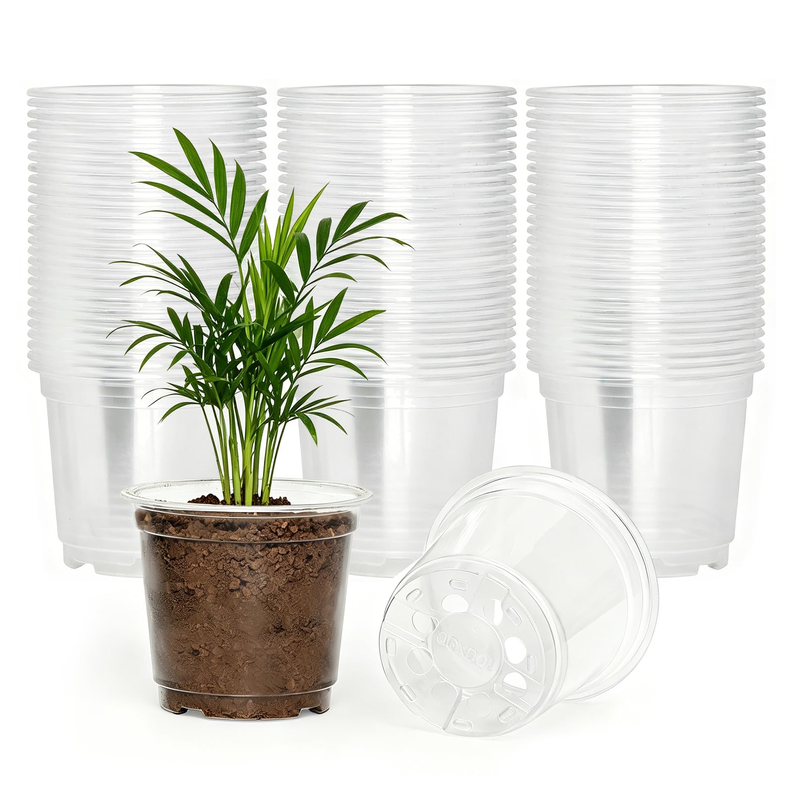 JNYONG paquete frontal de 120 macetas transparentes para vivero, ahorro y variedad