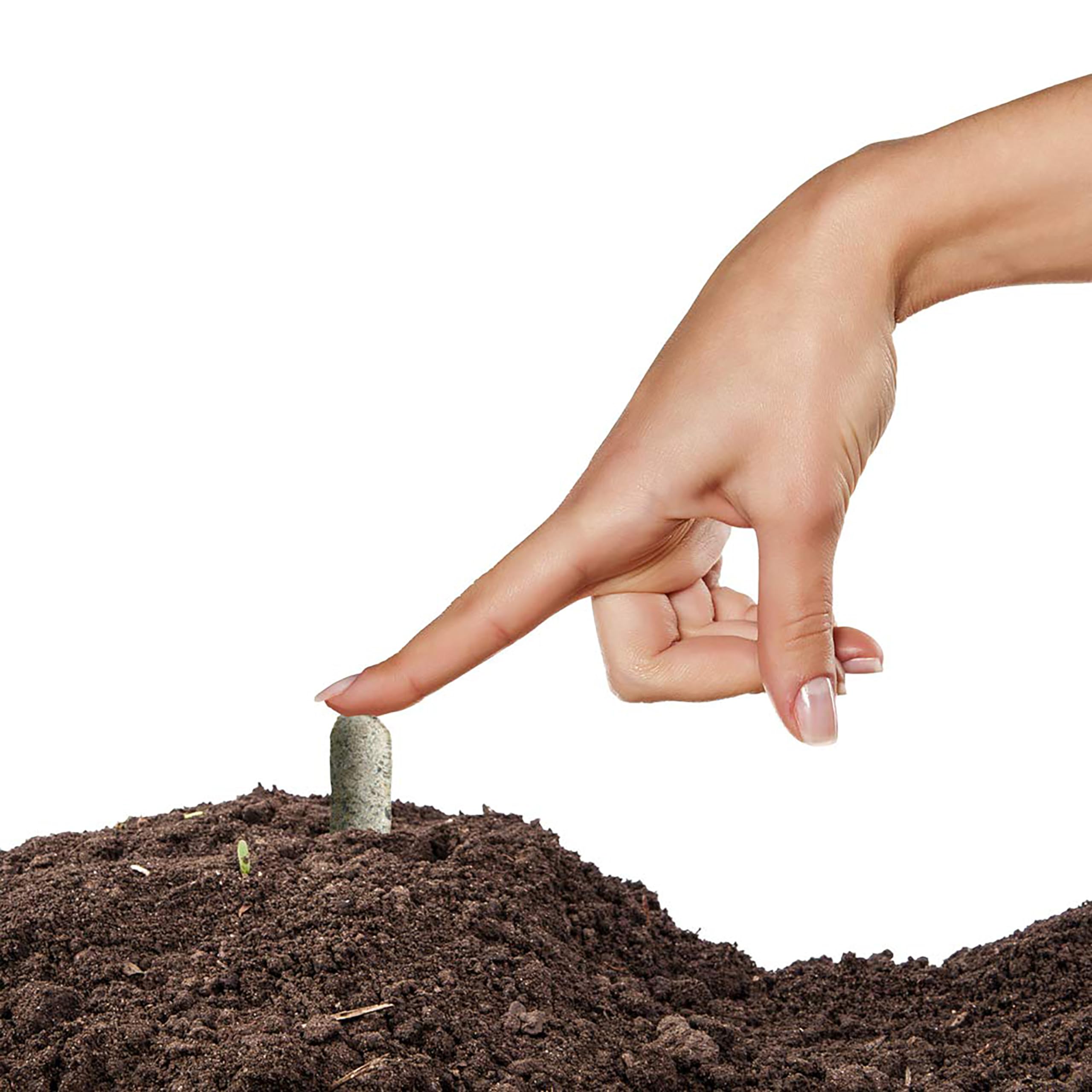 Jobe's Organics comparación de tamaño entre un bulbo y un clavo para correcta colocación