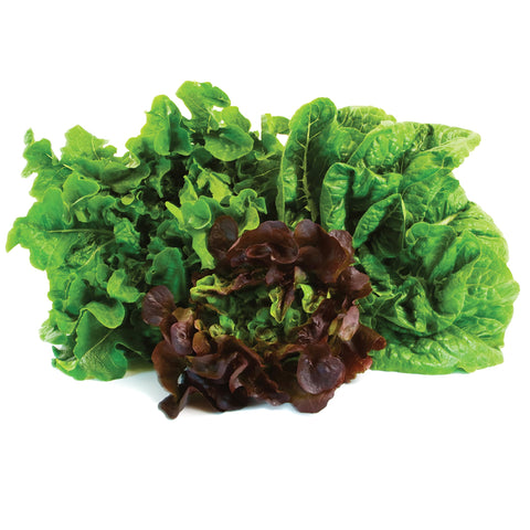 Jobe's Organics bolsa junto a regla para comparar tamaño y control de dosis