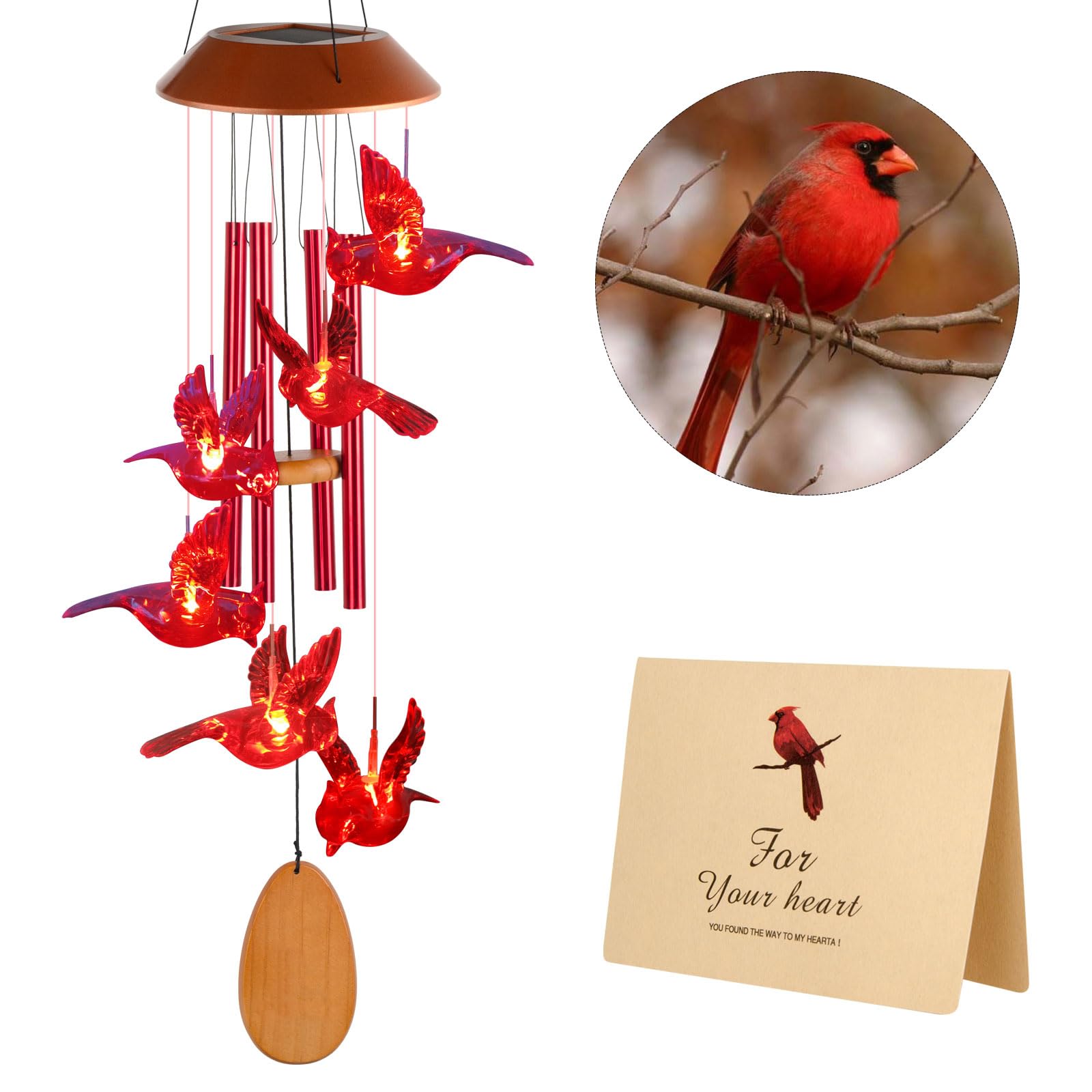 JOBOSI cardenal detalle LED iluminado que crea ambiente cálido