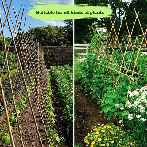 Jollybower estacas en macetas y jardín urbano, solución sostenible y estética