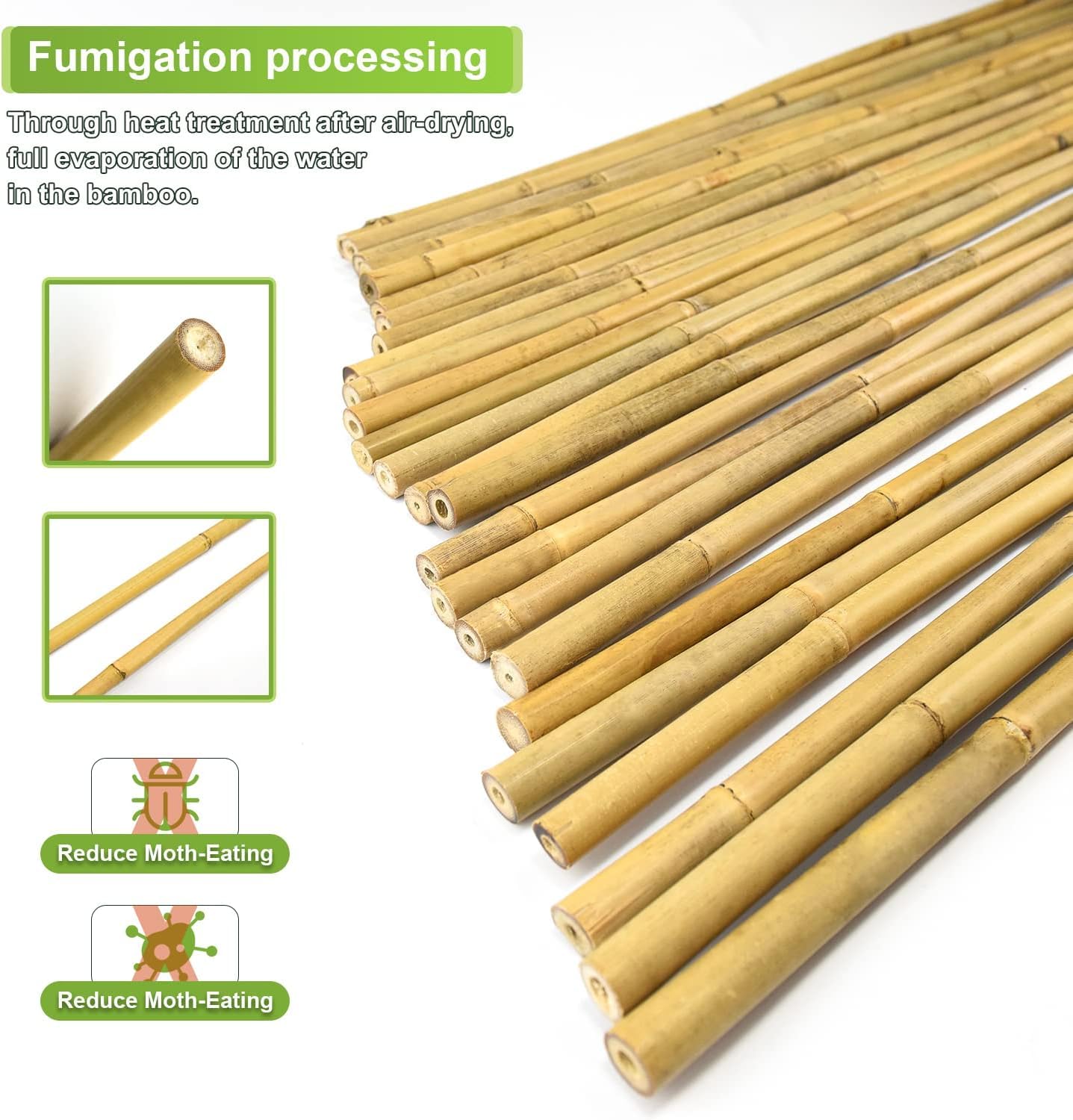 Jollybower estaca insertada en maceta, soporte estable para plantas
